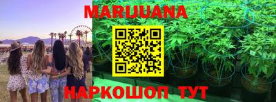 дмт Ивантеевка