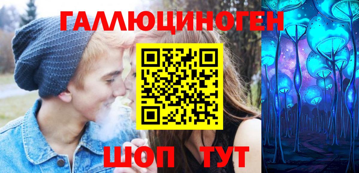 Галлюциногенные грибы мицелий Богданович