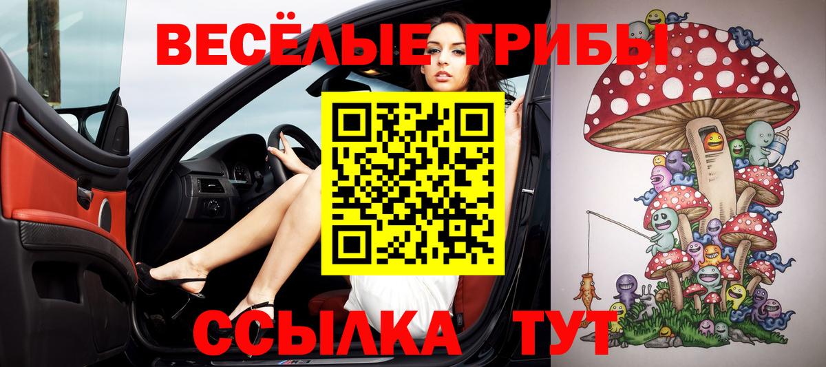 Псилоцибиновые грибы мицелий  Вход с VPN  Богданович  Псилоцибиновые грибы MAGIC MUSHROOMS 